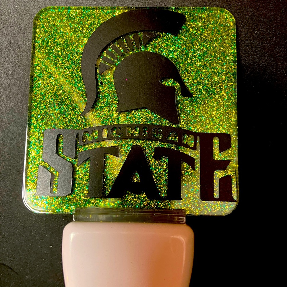 Michigan state plug in led night light